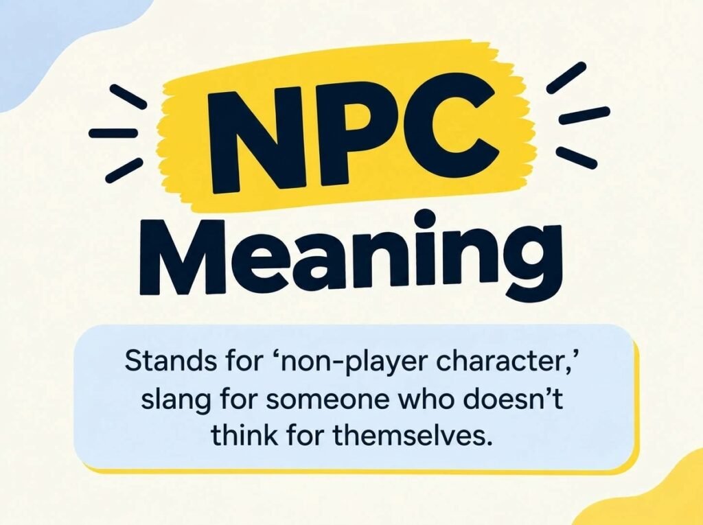 NPC Meaning