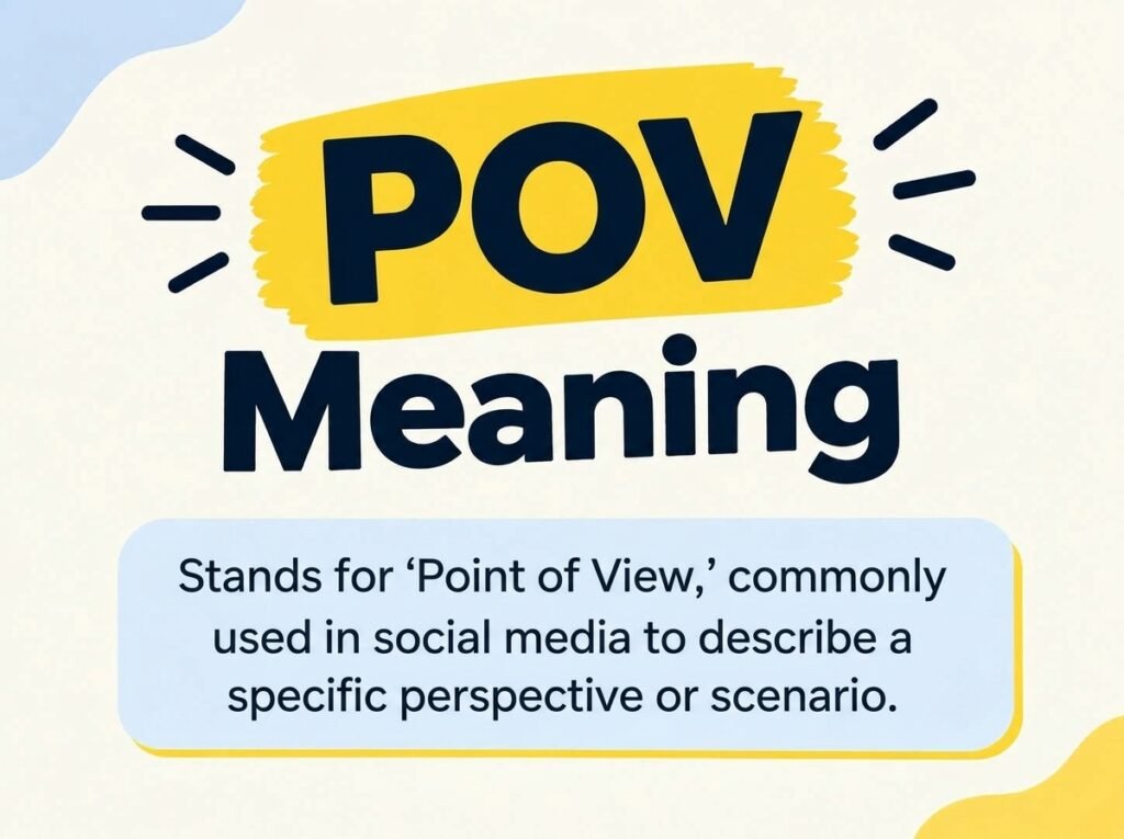 POV Meaning